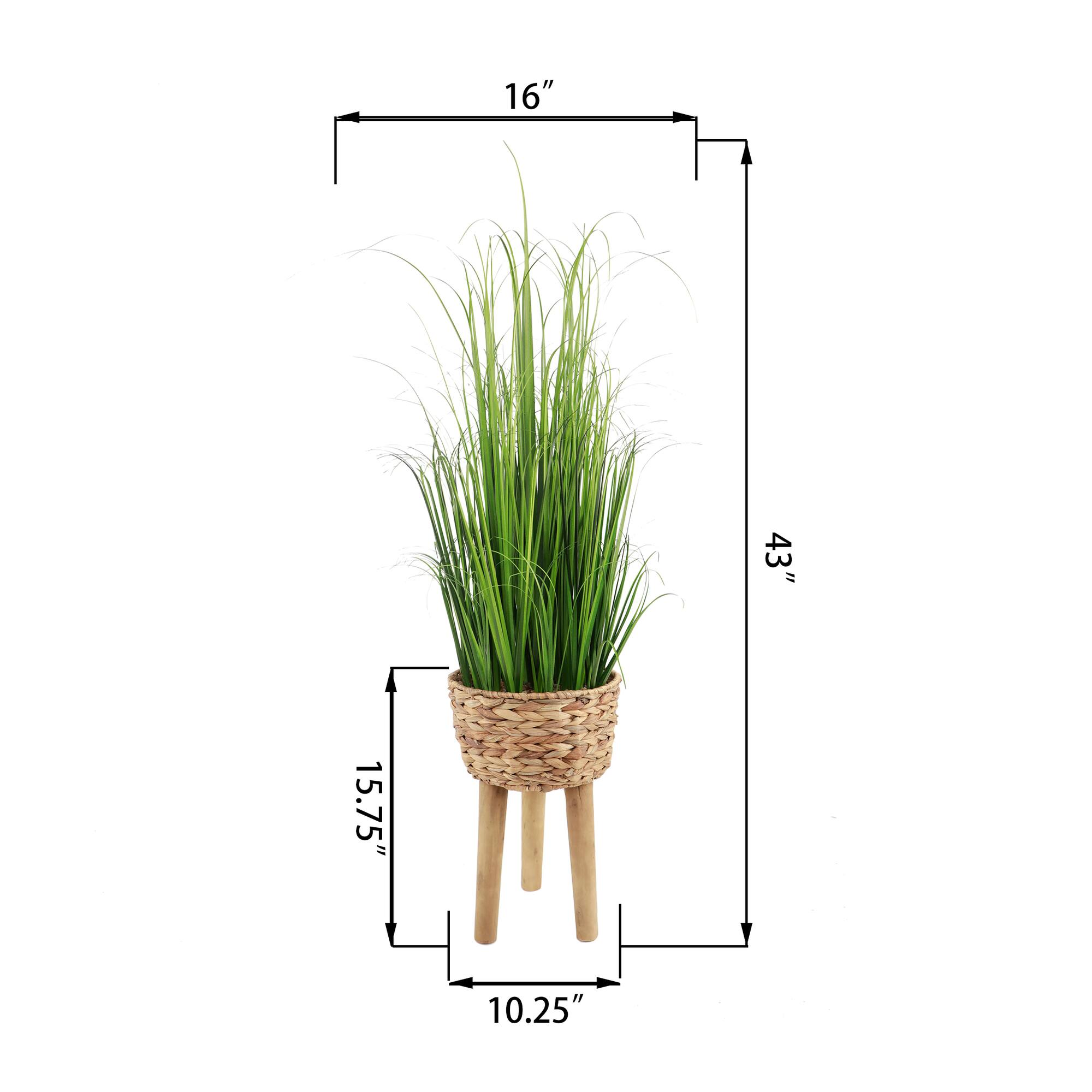 Flora Bunda® 3.5ft. Onion Grass in Basket Planter on Wood Stand